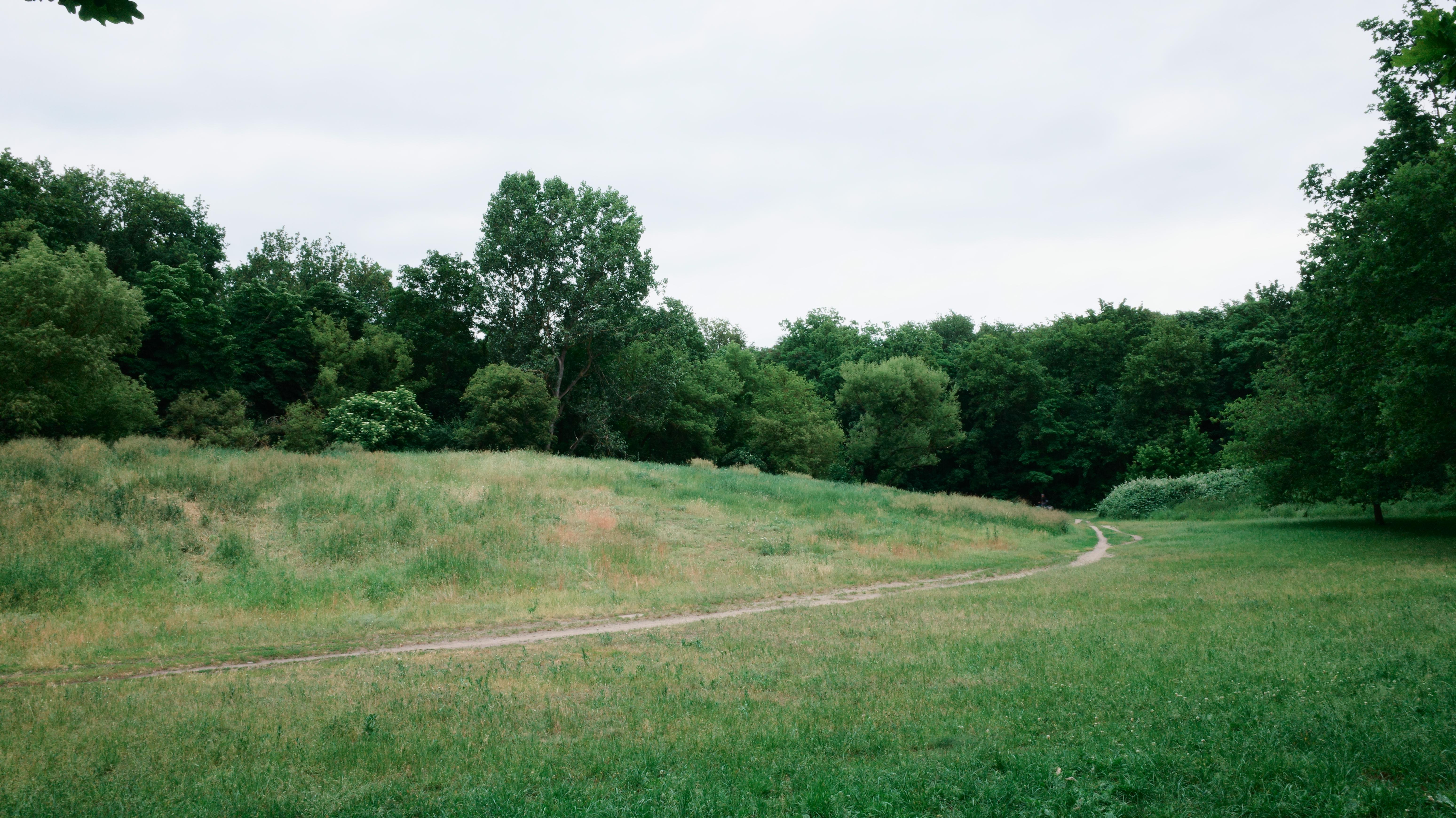 Schönholzer Heide