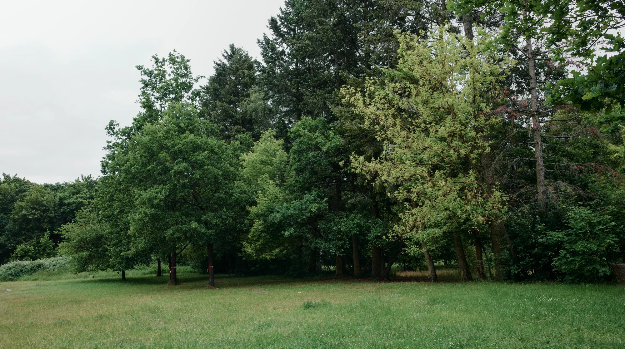 Calisthenics Park