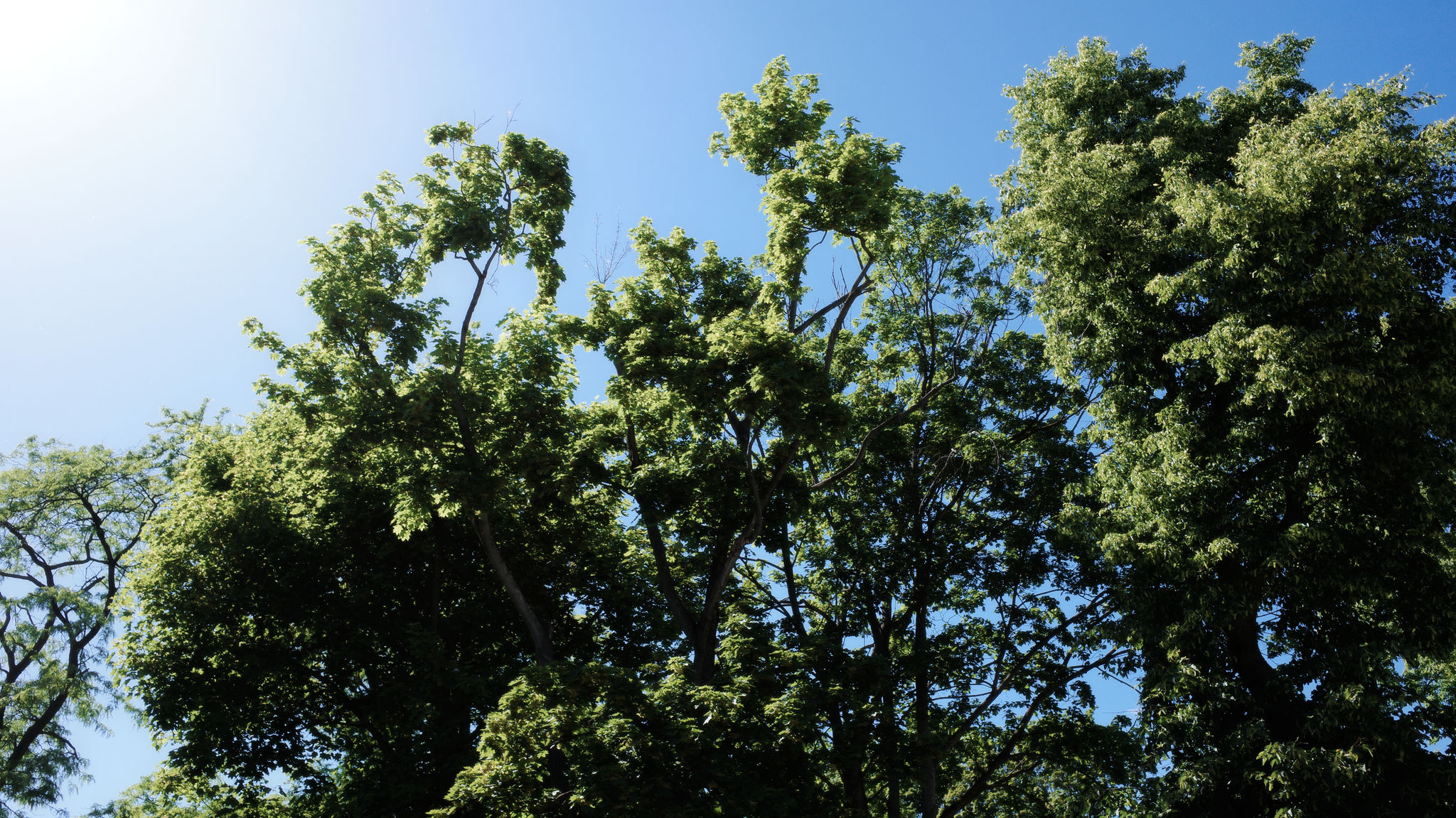 Volkspark Humboldthain