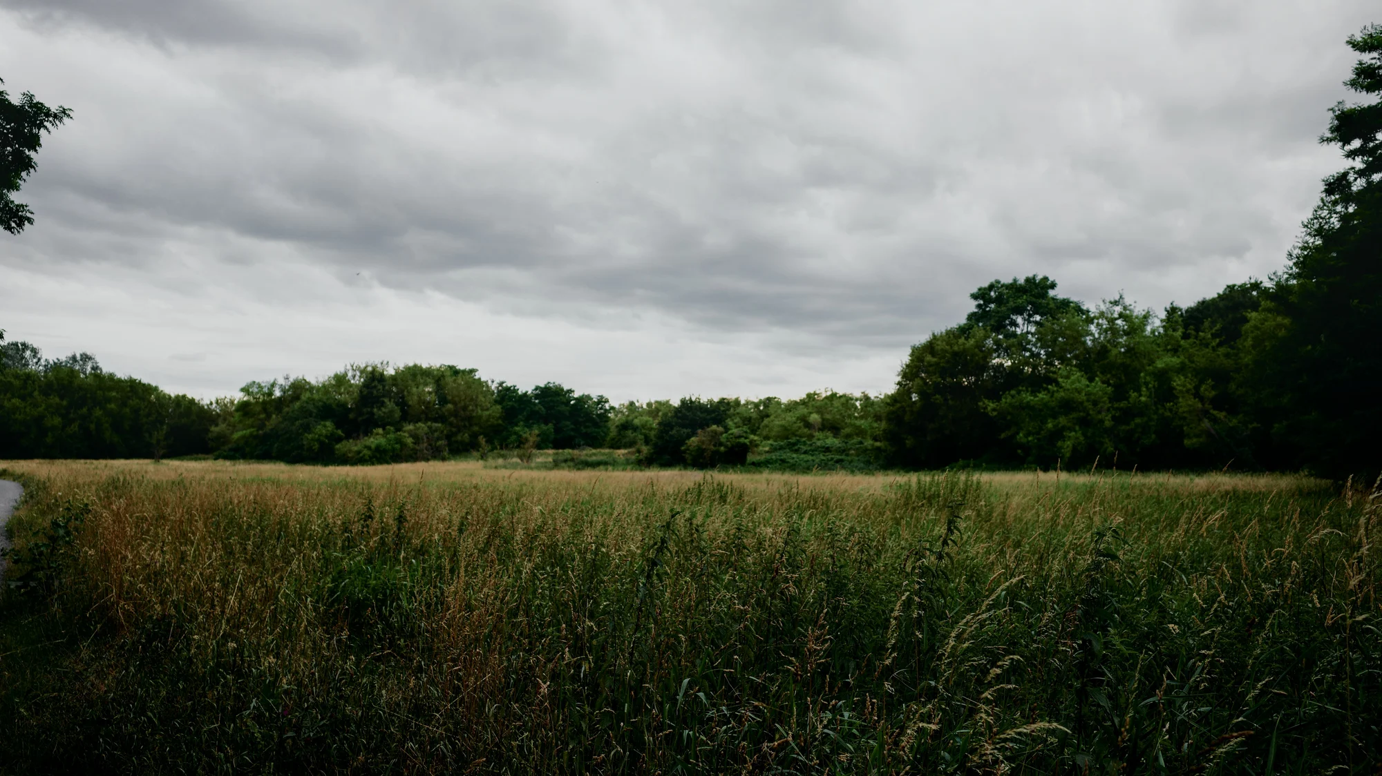 Panke Wanderweg