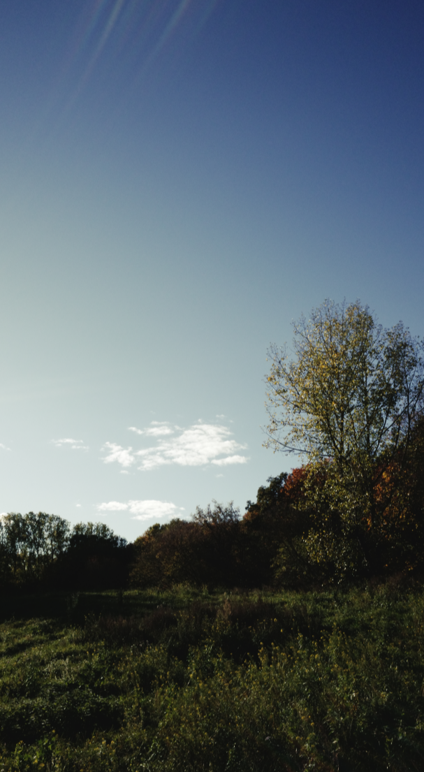 vertical pic test