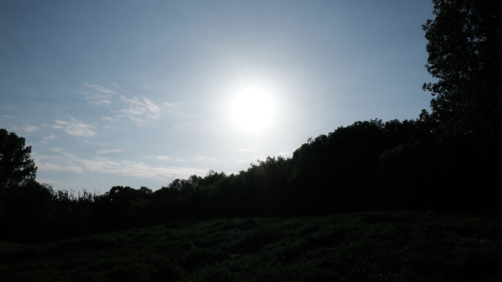 Volkspark Scheonholzer Heide