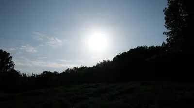Volkspark Scheonholzer Heide