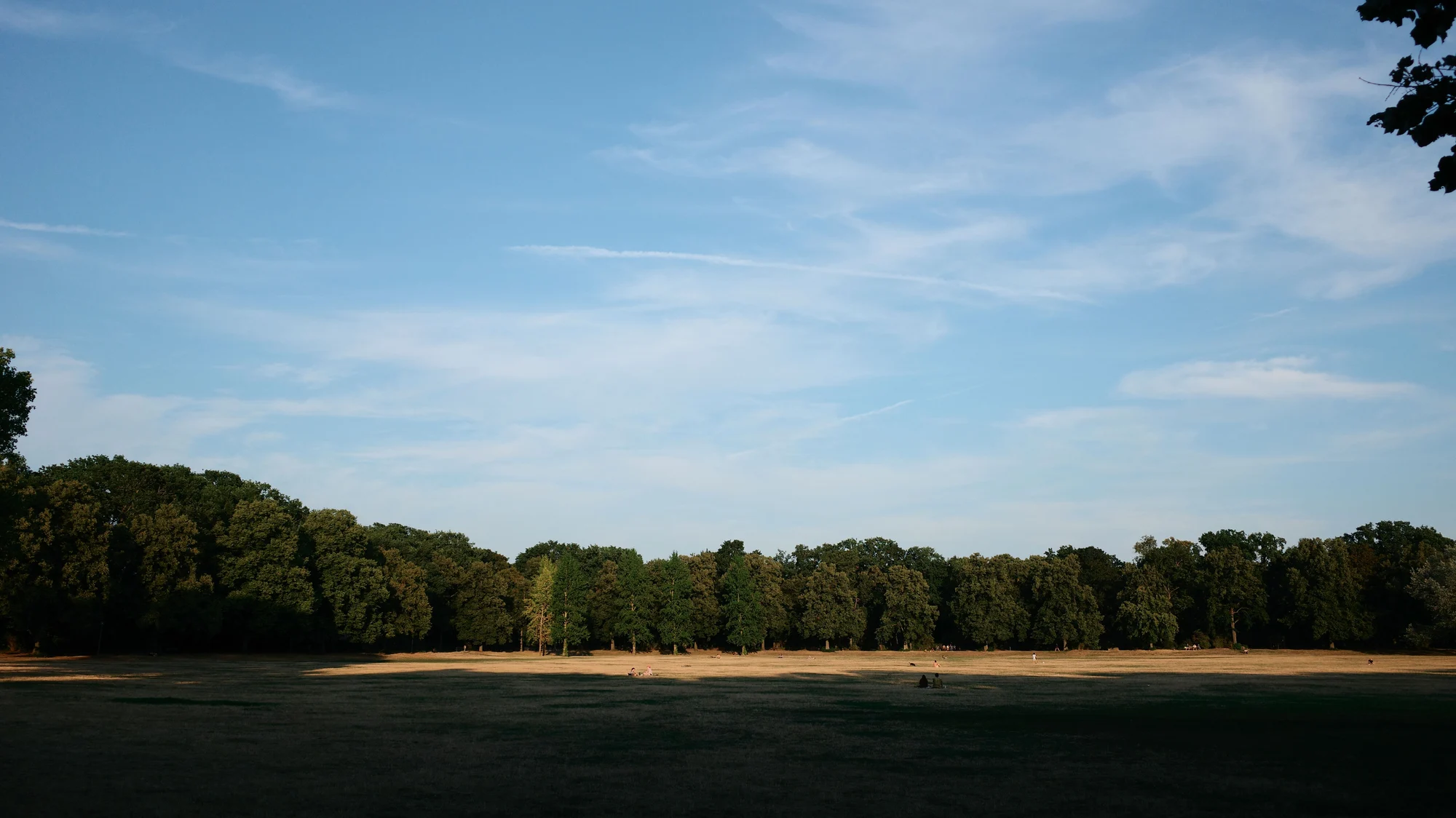 Volkspark Rehberge