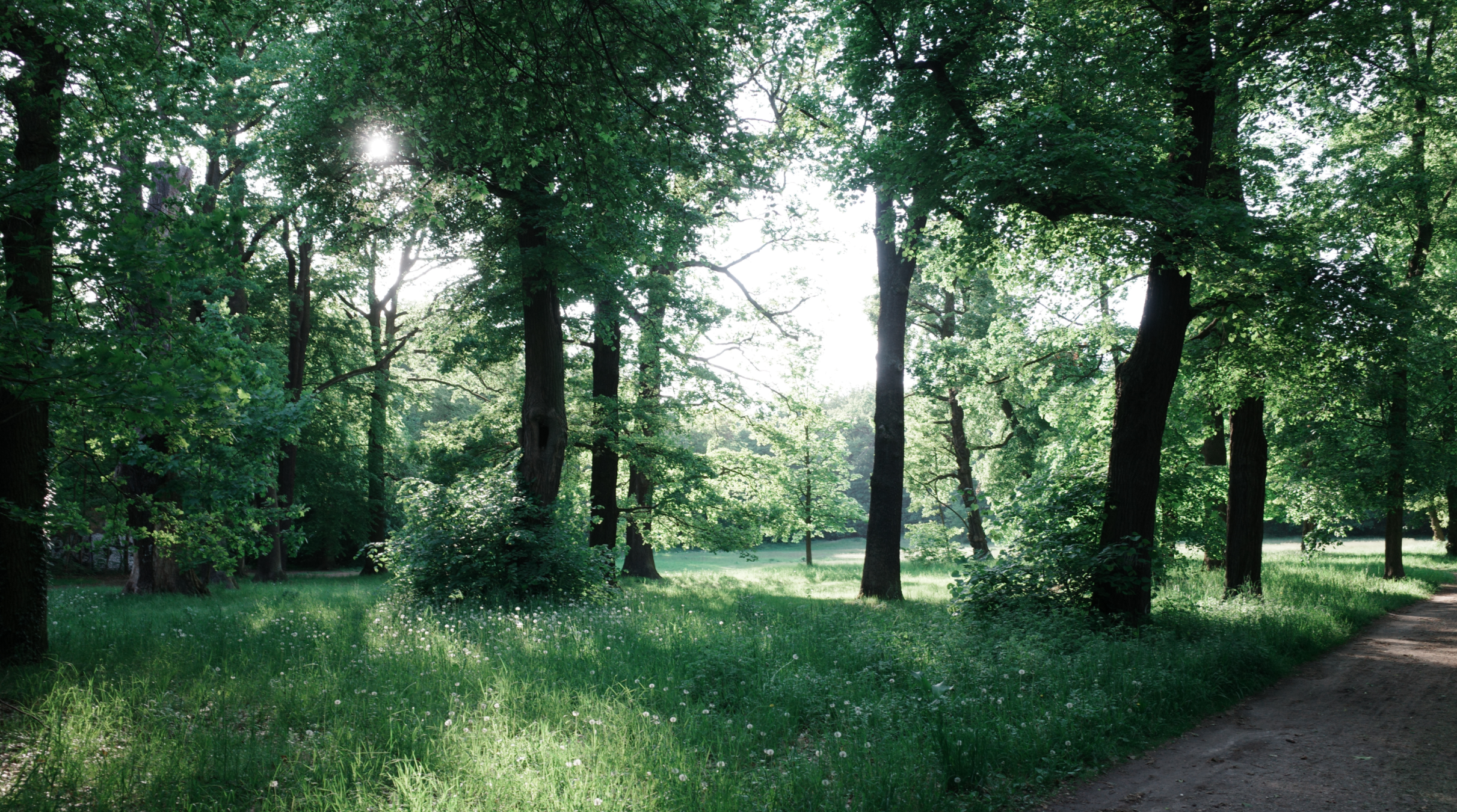 Volkspark Scheonholzer Heide