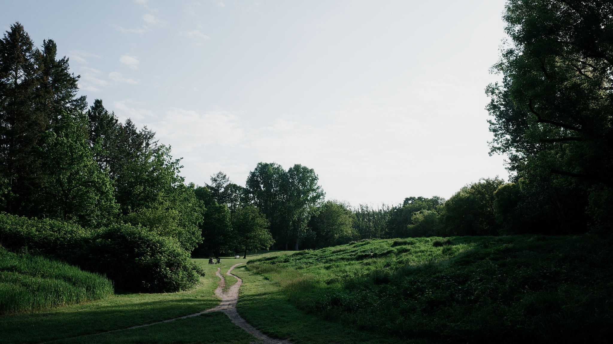Volkspark Scheonholzer Heide #3
