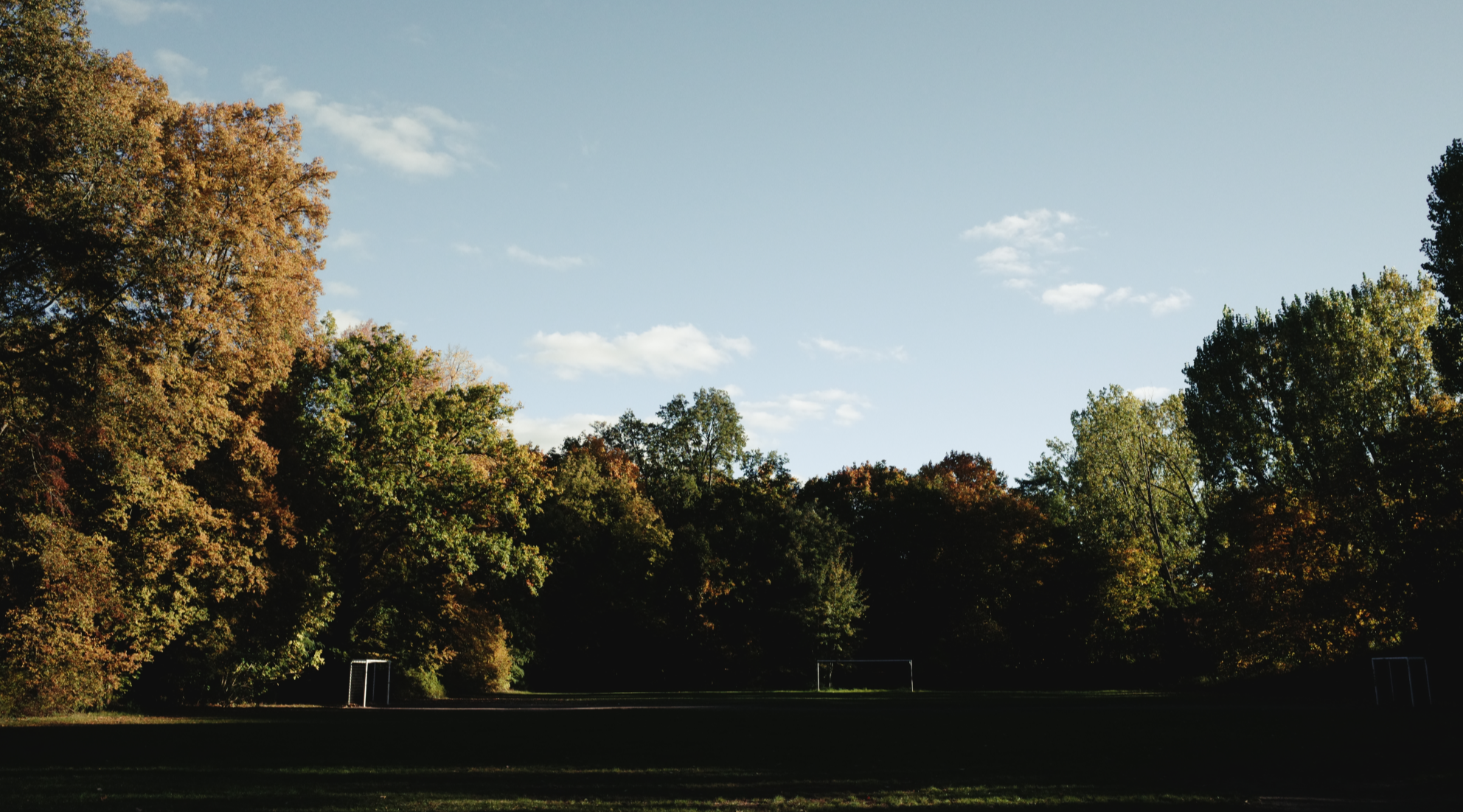 forest #4